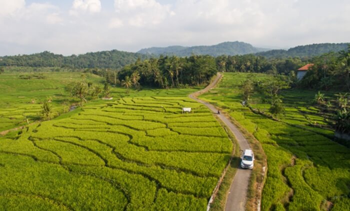 Wanawisata Citawaringin